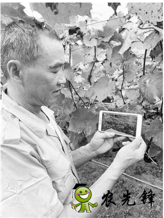 無(wú)錫市先行先試加快發(fā)展智慧農(nóng)業(yè)，已建設(shè)農(nóng)業(yè)物聯(lián)網(wǎng)應(yīng)用點(diǎn)近400個(gè)