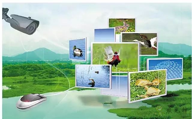 為農(nóng)業(yè)插上翅膀，物聯(lián)網(wǎng)引領(lǐng)下一個農(nóng)業(yè)時(shí)代！