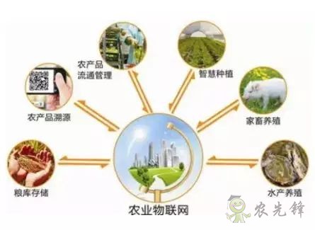 為農(nóng)業(yè)插上翅膀，物聯(lián)網(wǎng)引領(lǐng)下一個農(nóng)業(yè)時(shí)代！