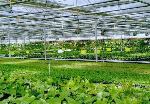 為農(nóng)業(yè)插上翅膀，物聯(lián)網(wǎng)引領(lǐng)下一個農(nóng)業(yè)時(shí)代！