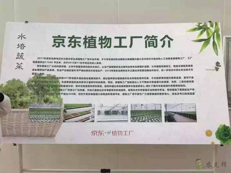 京東的這些&ldquo;網(wǎng)紅&rdquo;農(nóng)業(yè)項(xiàng)目，你都知道嗎？