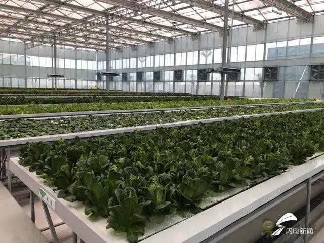 智慧農(nóng)業(yè)新探索&mdash;&mdash;&ldquo;投資商+運營商+家庭農(nóng)場&rdquo;模式