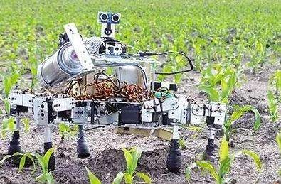 5G的機器人有哪些？5G農(nóng)業(yè)機器人又在其中嗎？