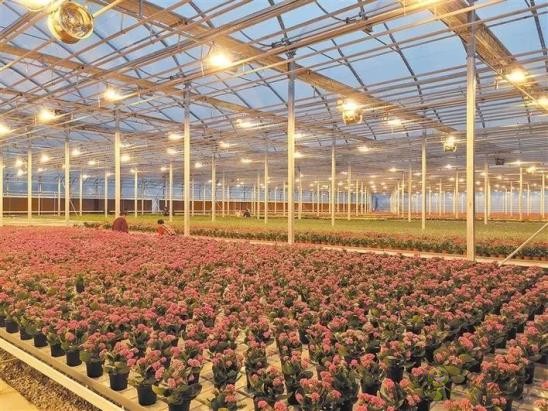 楊凌：現(xiàn)代科技給農(nóng)業(yè)裝上&ldquo;智慧芯&rdquo;