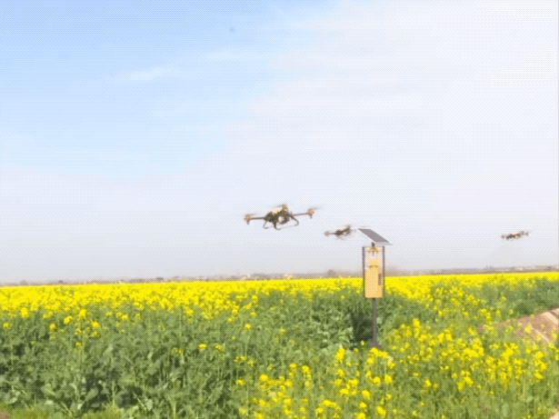 農(nóng)業(yè)機(jī)器人在疫情下的近況