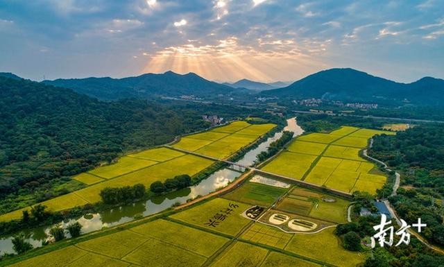 11個(gè)現(xiàn)代農(nóng)業(yè)項(xiàng)目在廣州從化動(dòng)工