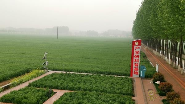 河南尉氏縣：5G+智慧農(nóng)業(yè) 農(nóng)田里有了這些&ldquo;黑科技&rdquo;