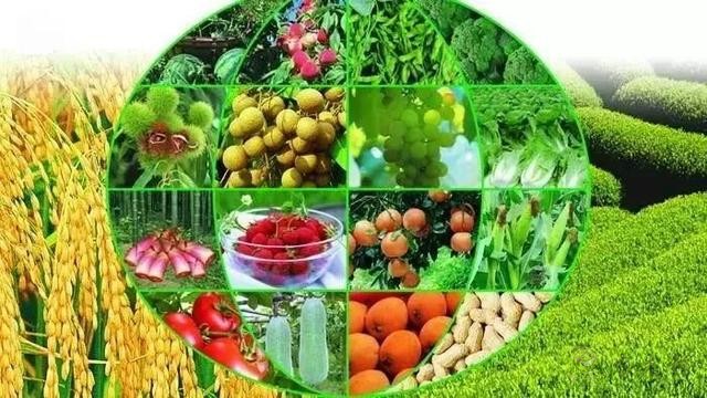 農(nóng)業(yè)農(nóng)村部決定開展現(xiàn)代農(nóng)業(yè)全產(chǎn)業(yè)鏈標準化試點工作