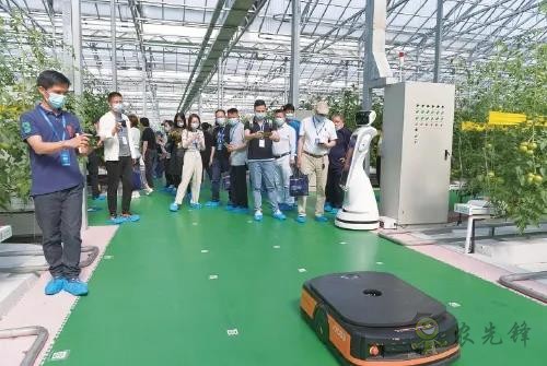 ?鄉村振興，壽光答卷