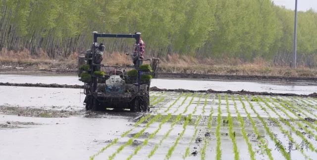 為什么要使用智能農(nóng)機(jī)？