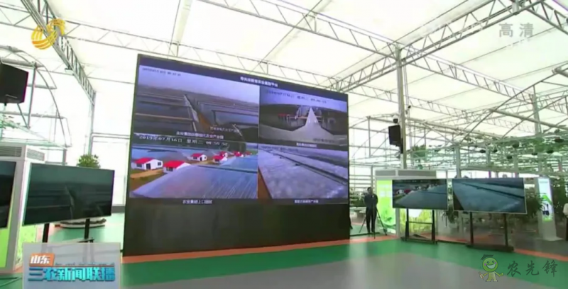 &ldquo;壽光標準&rdquo;向全國輸出 推動蔬菜產業提檔升級