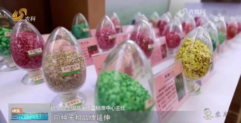 &ldquo;壽光標準&rdquo;向全國輸出 推動蔬菜產業提檔升級