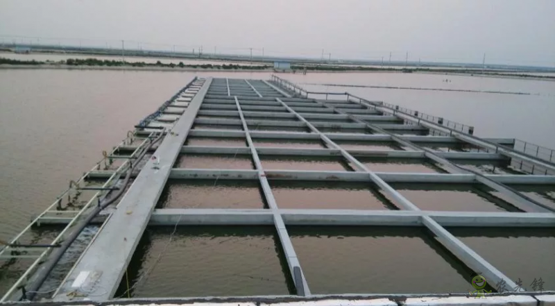 2021年農(nóng)業(yè)農(nóng)村部重大引領(lǐng)性技術(shù)發(fā)布！