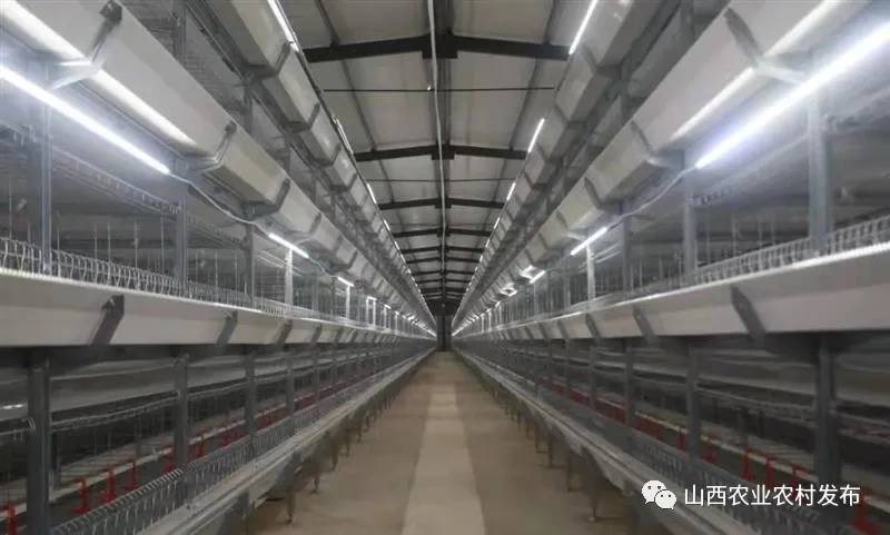 山西：&ldquo;五好&rdquo;畜牧領跑農業高質量發展