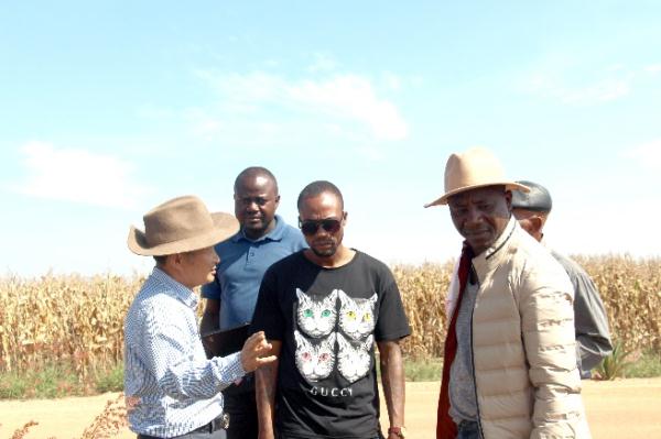 &ldquo;中國(guó)農(nóng)技&rdquo;&ldquo;中國(guó)農(nóng)機(jī)&rdquo;&ldquo;中國(guó)農(nóng)場(chǎng)&rdquo;助力非洲農(nóng)業(yè)發(fā)展