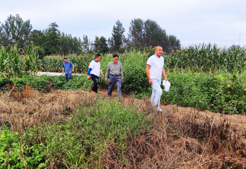 國家加大農業獎補力度，對農民種糧是個好消息，2022年該如何調整