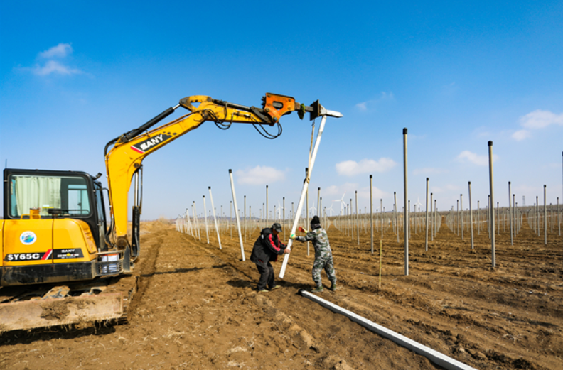 臨港區：智慧農業不簡單，&ldquo;玩手機&rdquo;就能種好地