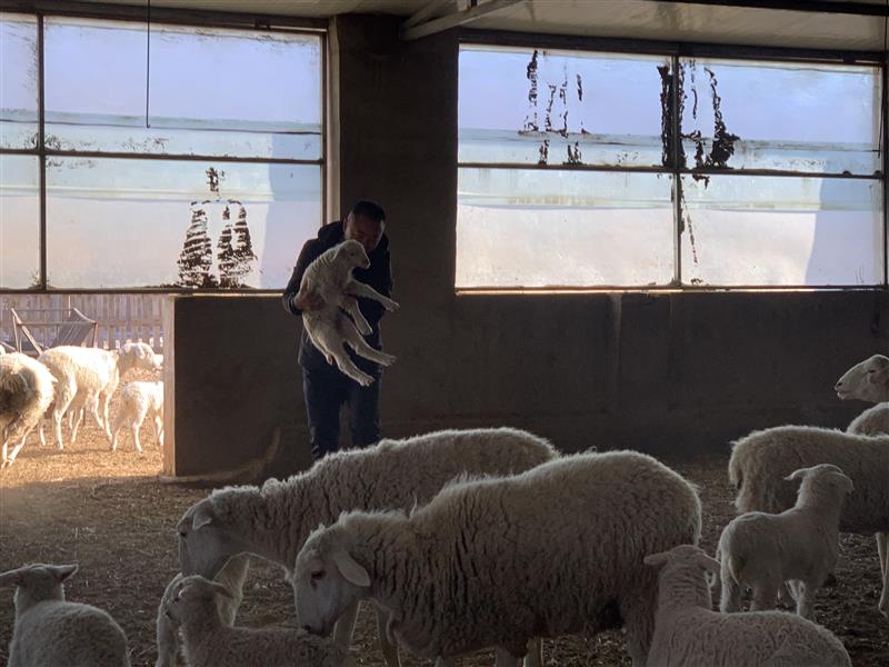 &ldquo;抱團&rdquo;謀發(fā)展 合作社&ldquo;錢&rdquo;途無量