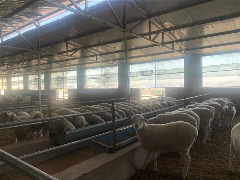 &ldquo;抱團&rdquo;謀發(fā)展 合作社&ldquo;錢&rdquo;途無量