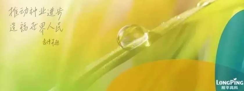 農(nóng)民日?qǐng)?bào) | 中信農(nóng)業(yè)著力構(gòu)建&ldquo;產(chǎn)業(yè)＋科技＋金融&rdquo;綜合發(fā)展平臺(tái)&mdash;&mdash;精準(zhǔn)布局國(guó)內(nèi)外種業(yè)市場(chǎng)
