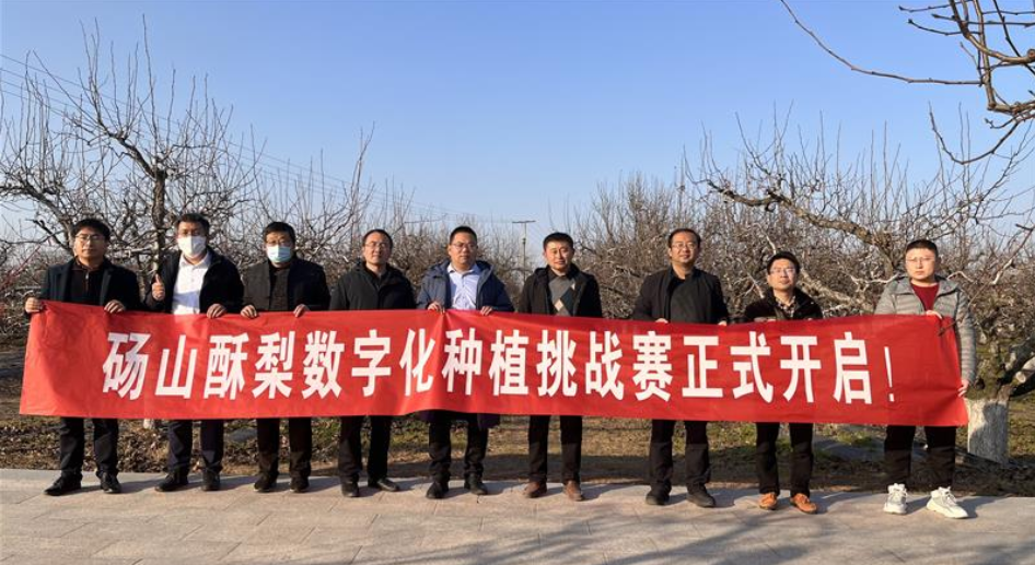 安徽碭山啟動&ldquo;酥梨種植挑戰賽&rdquo;