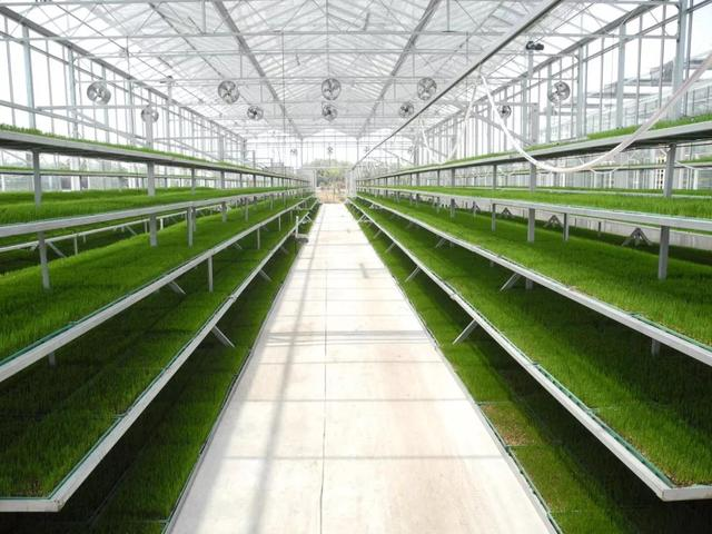 智慧農業(yè)國家改革試點 蘇州為農業(yè)插上&ldquo;智慧翅膀&rdquo;