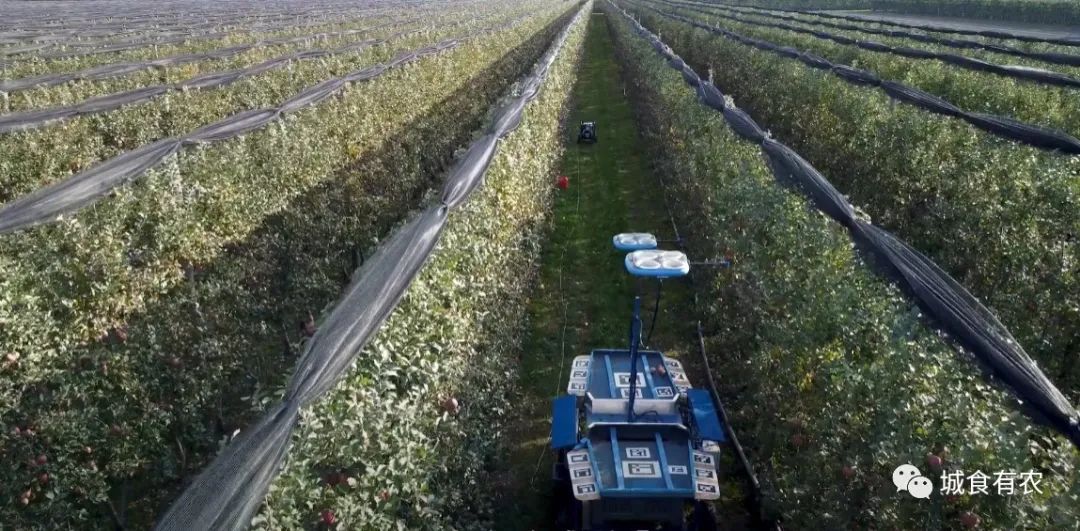 會(huì)摘蘋果的飛行機(jī)器人，從概念圖到商業(yè)化Tevel只用了4年