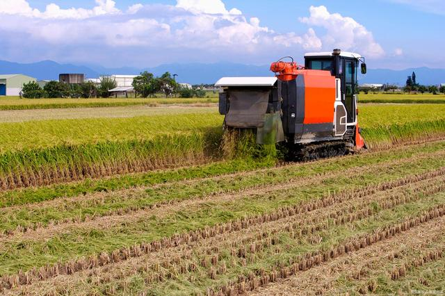 溫鐵軍：中國農(nóng)業(yè)4.0時代，家庭農(nóng)場、小農(nóng)戶仍然是發(fā)展的趨勢