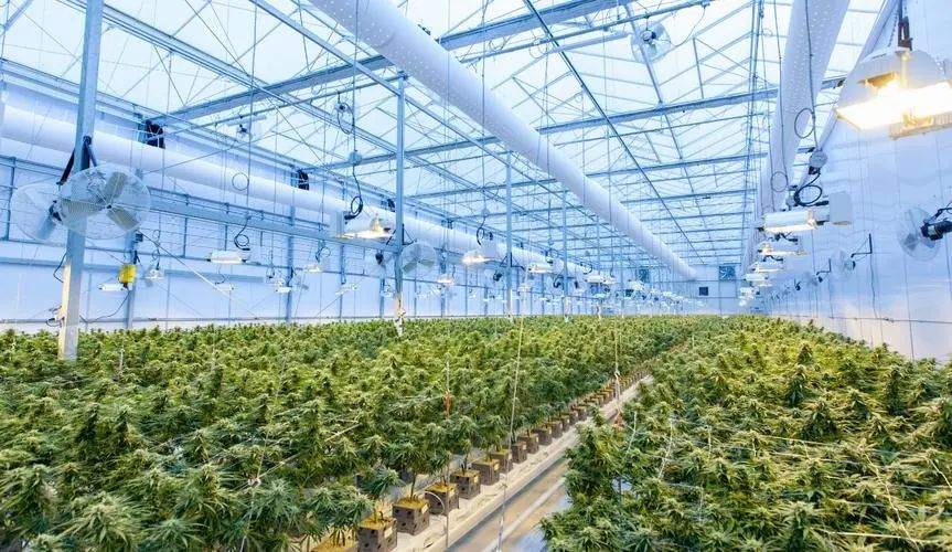 驅(qū)動未來農(nóng)業(yè)蓬勃發(fā)展的四大關鍵技術