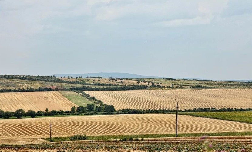 2022耕地地力保護補貼各地新標(biāo)準(zhǔn)，一畝補多少錢？速看