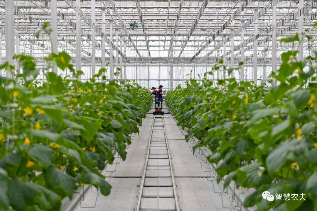 農業部出手，智慧農業將迎來七個方面全面突破！