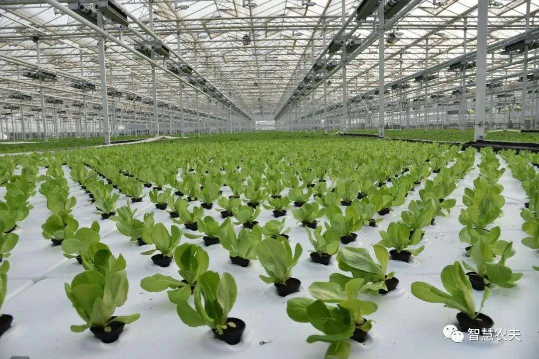 農業部出手，智慧農業將迎來七個方面全面突破！