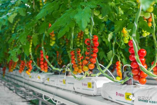 農業部出手，智慧農業將迎來七個方面全面突破！