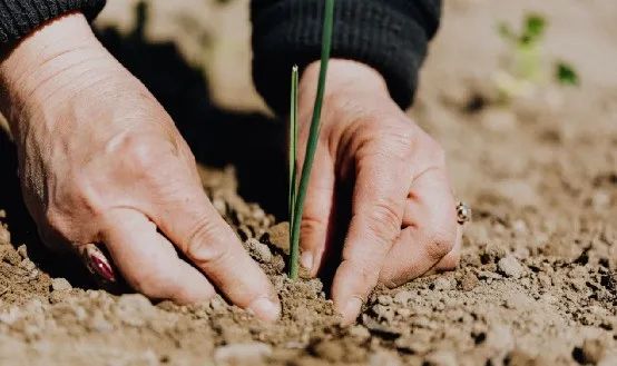 高端農(nóng)產(chǎn)品的直銷模式：農(nóng)場會員體系