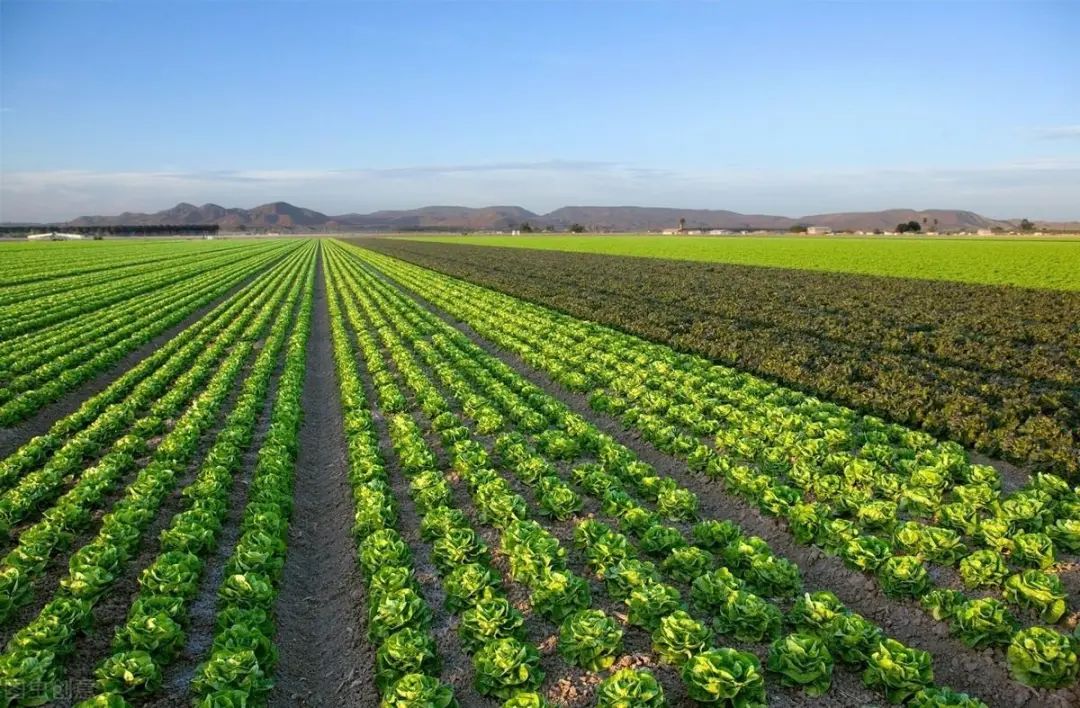 11大領域20多家智慧農(nóng)業(yè)平臺類型和發(fā)展模式