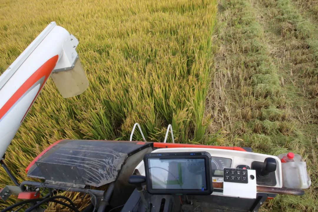 嘉定：“無人化秋收”提高作業(yè)效率