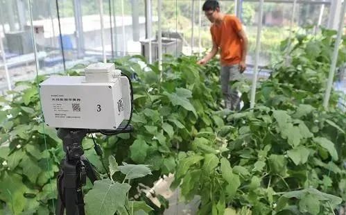 【農業模式】農產品銷售創新點在哪里？十種新模式助力未來農業