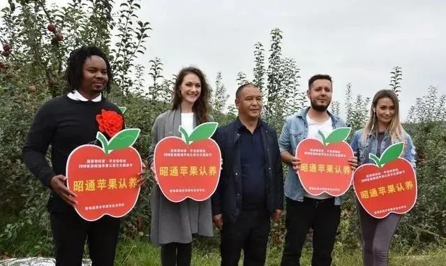 【農業模式】農產品銷售創新點在哪里？十種新模式助力未來農業