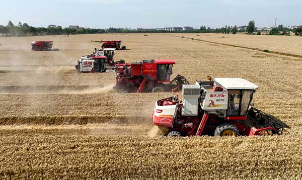 耕好“無形糧田”——從夏糧主產區看“全鏈條節糧減損”路徑