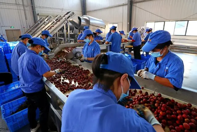 推進鄉(xiāng)村全面振興是“三農(nóng)”工作總抓手