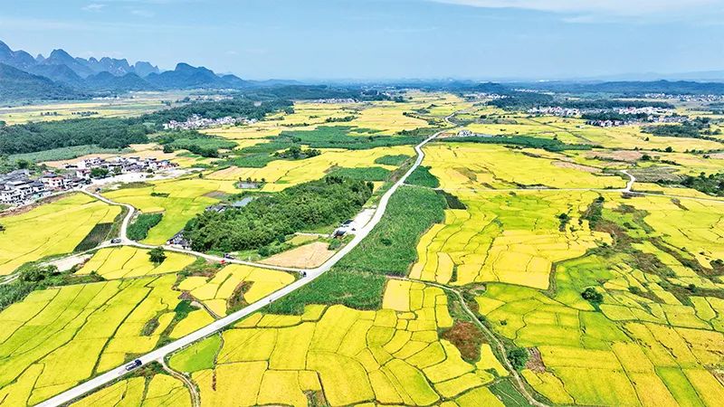 中央農(nóng)辦：有力有效推進(jìn)鄉(xiāng)村全面振興